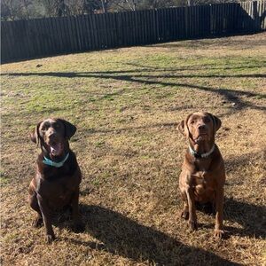 Meet your Posher, Tanner